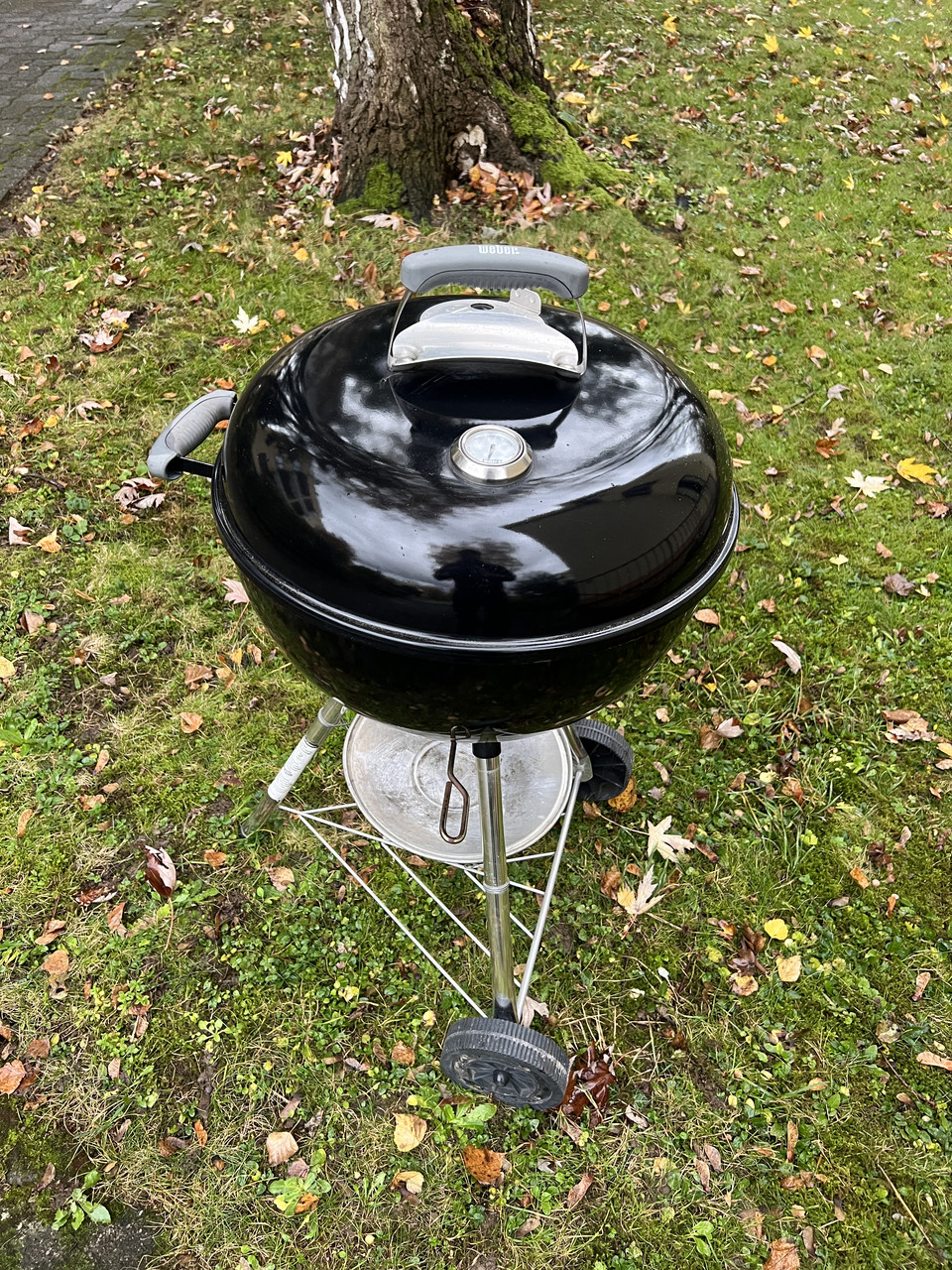 Weber Grill - фото 4 - id-p2047307608