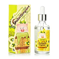 Сыворотка для лица со 100% экстрактом галактомисиса Elizavecca Witch Piggy Hell-Pore Galactomyces Pure Ample