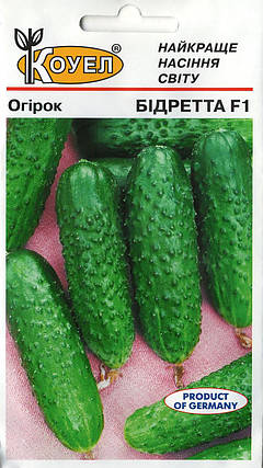 Насіння огірка Бідретта 20шт ТМ Коуел, фото 1