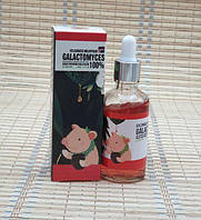 Сыворотка для лица Eflzavacce Milkypiggy 50ml