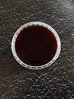 Лісові ягоди паста концентрована Fruityland,1кг