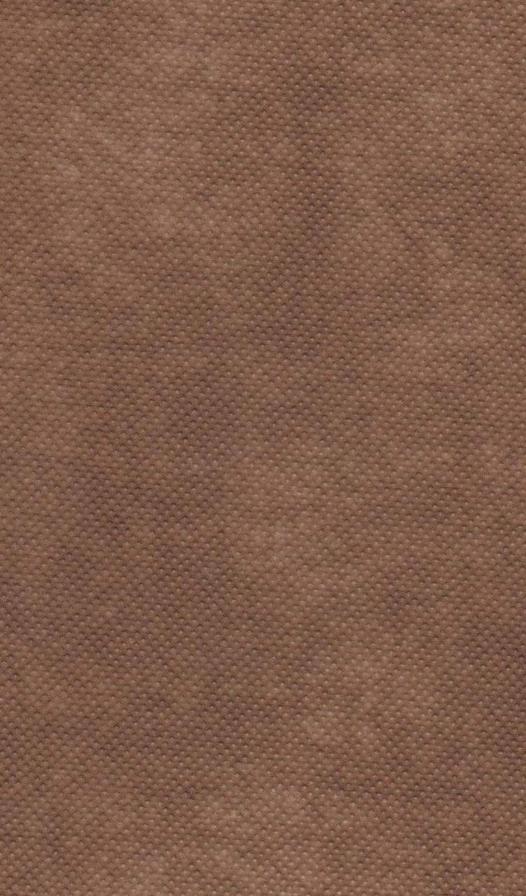 Спанбонд (флізелін) 70г/кв.м 1,6м х 200м Бежевий, фото 1