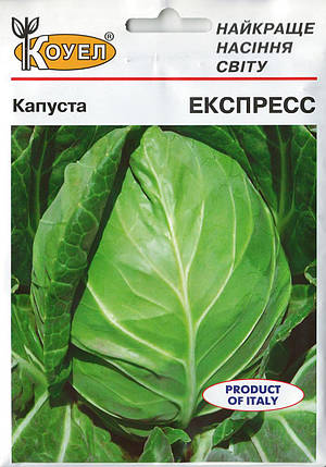 Насіння капусти Експрес 10г ТМ Коуел, фото 1