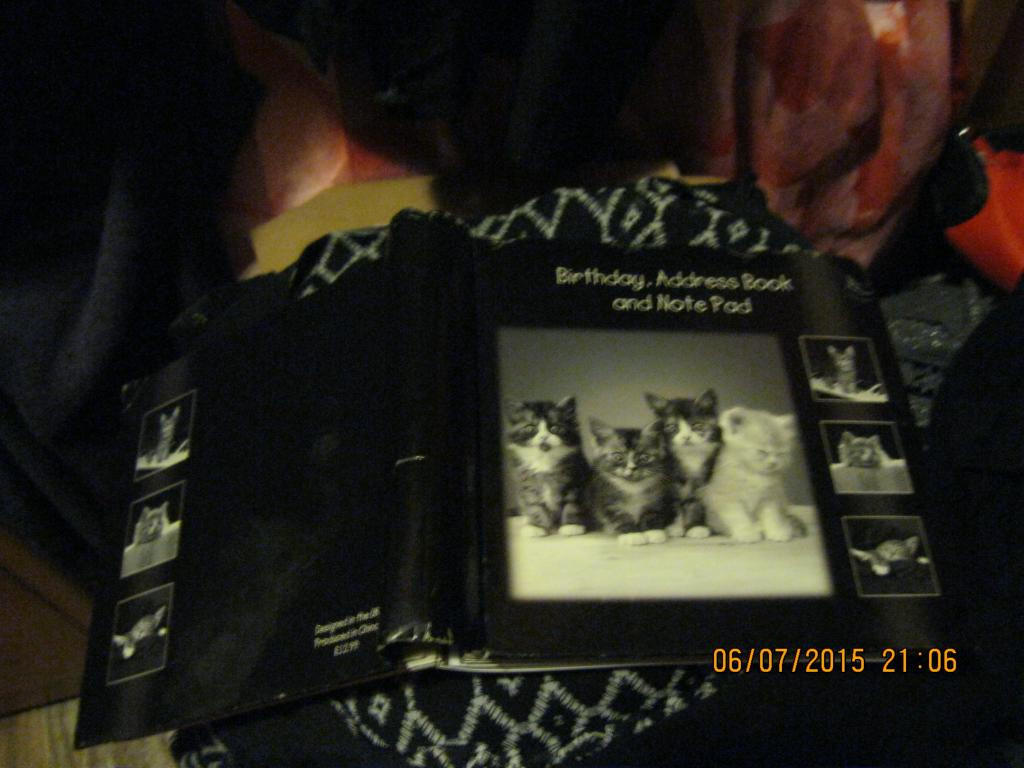 Ежедневник книга кошки котята альбом из БРИТАНИИ - фото 1 - id-p367376591