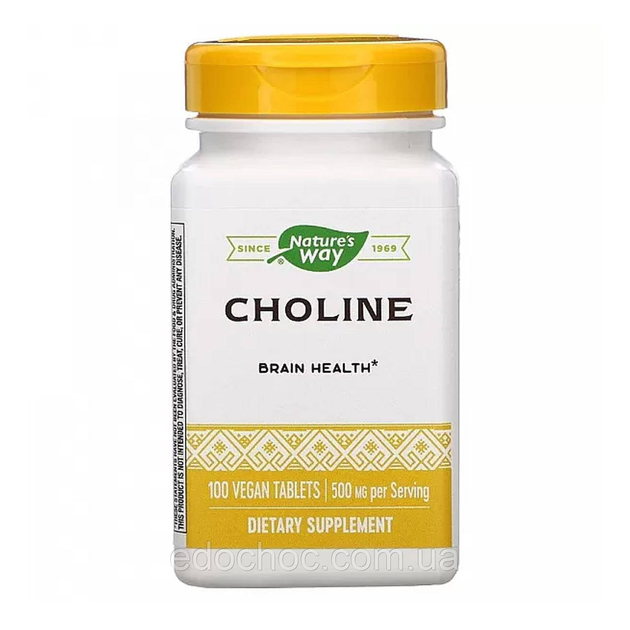 Холін (Choline) 500 мг 100 таблеток NWY-40460