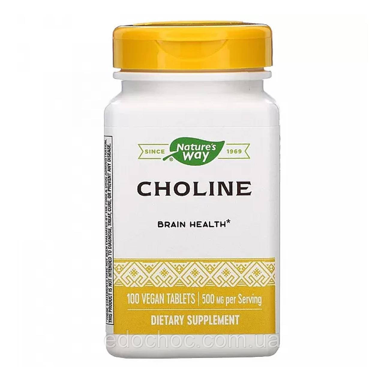 Холін (Choline) 500 мг 100 таблеток NWY-40460, фото 1
