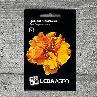 Гравілат чилійський Леді Стратхеден 0,1 г насіння пакетоване Leda Agro