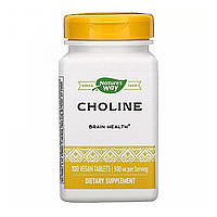 Холин (Choline) 500 мг 100 таблеток NWY-40460