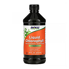 Хлорофіл рідкий (Liquid Chlorophyll) 473 мл зі смаком м'яти NOW-02644