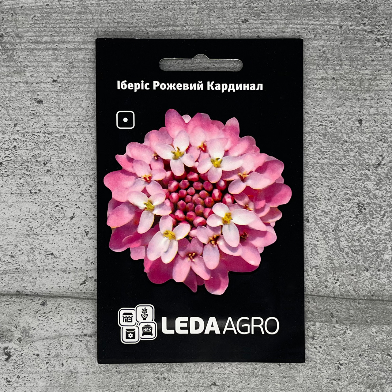 Іберіс Рожевий Кардинал 0,5 г насіння пакетоване Leda Agro