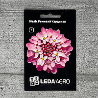 Иберис Розовый Кардинал 0,5 г семена пакетированные Leda Agro