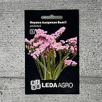 Кермек Американ Бьюти розовый 0,15 г семена пакетированные Leda Agro