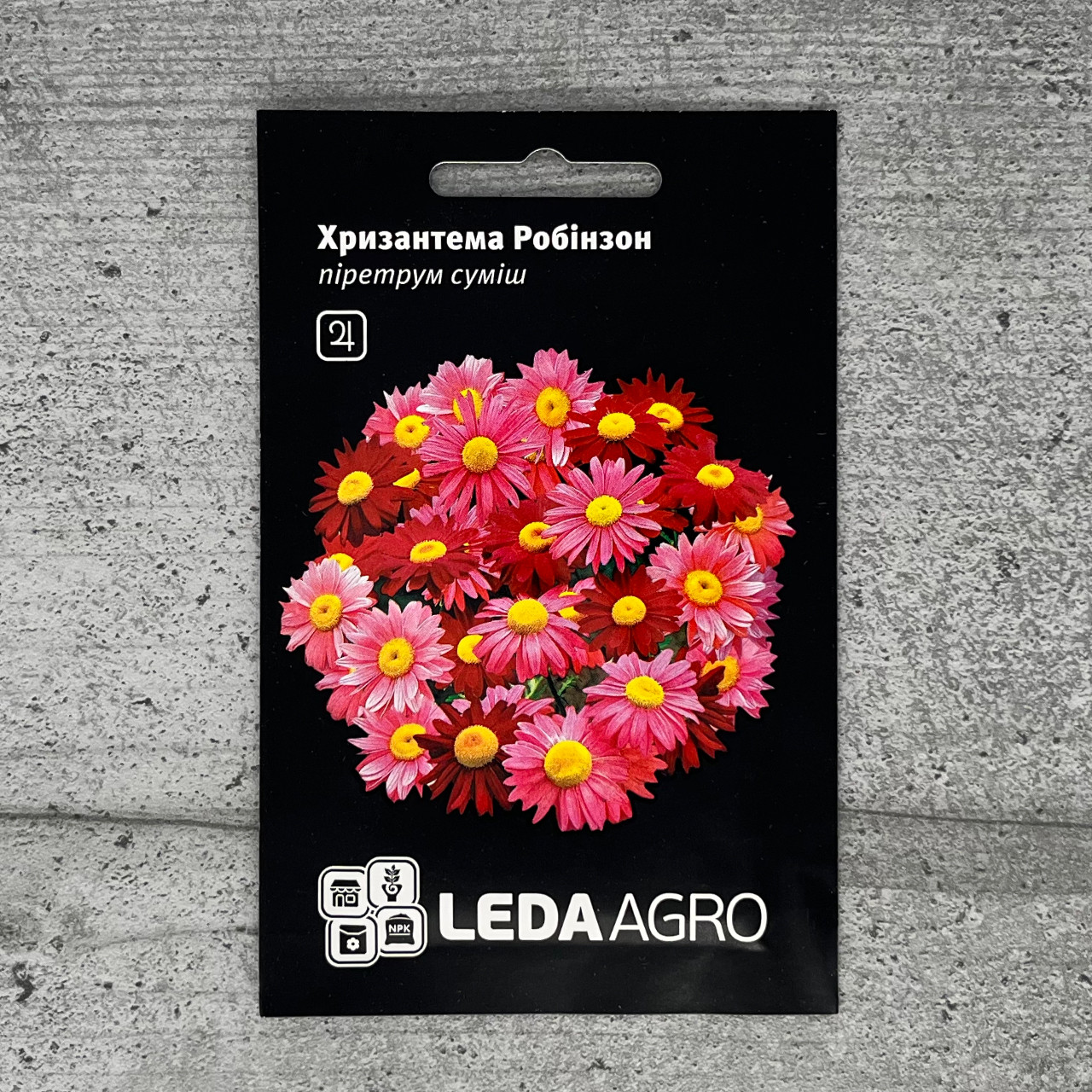Хризантема Робінзон суміш 0,4 г насіння пакетоване Leda Agro