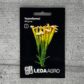Чорнобривці Мінута 0,3 г насіння пакетоване Leda Agro