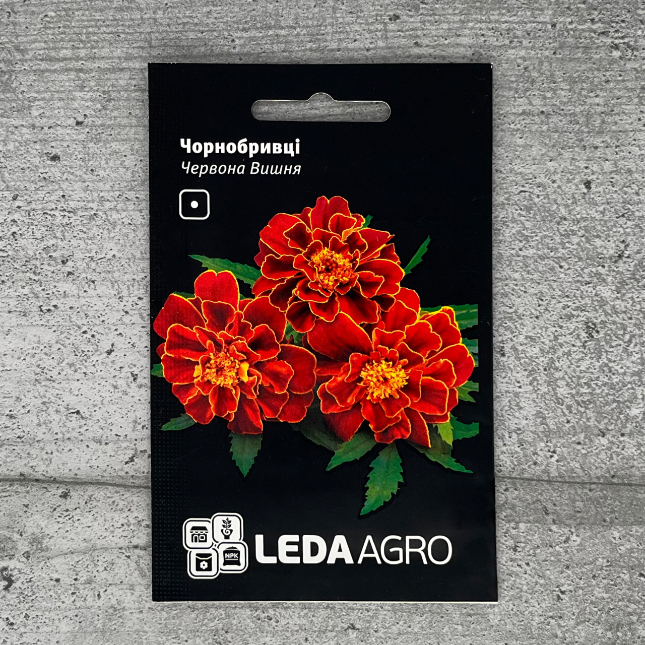 Чорнобривці розлогі Червона Вишня 0,2 г насіння пакетоване Leda Agro