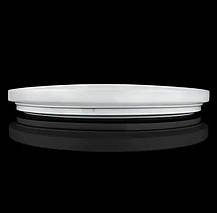 LED світильник BIOM 80W стельовий накладний 5000K (DEL-R102-80) без Д/У, коло білий, фото 4