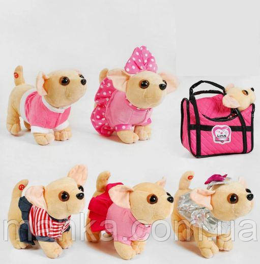 Собачка в сумці С 50085 "Чіхуахуа", 5 видів, гавкає, в пакеті, фото 1