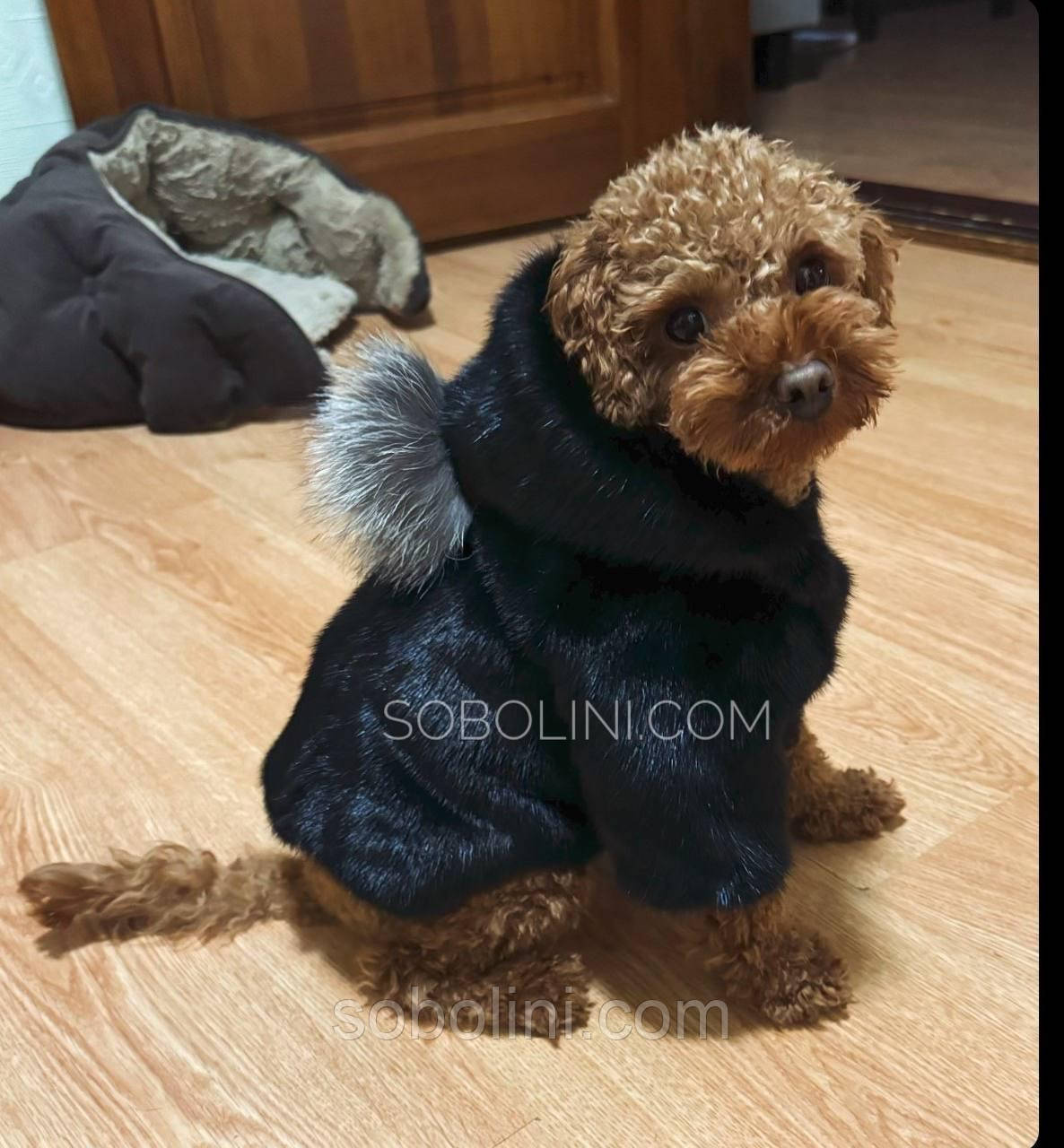 На замовлення одяг хутряний для собак🐶