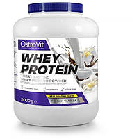 Протеин OstroVit Whey Protein 2000 g 66 servings French Vanilla PM, код: 7808989