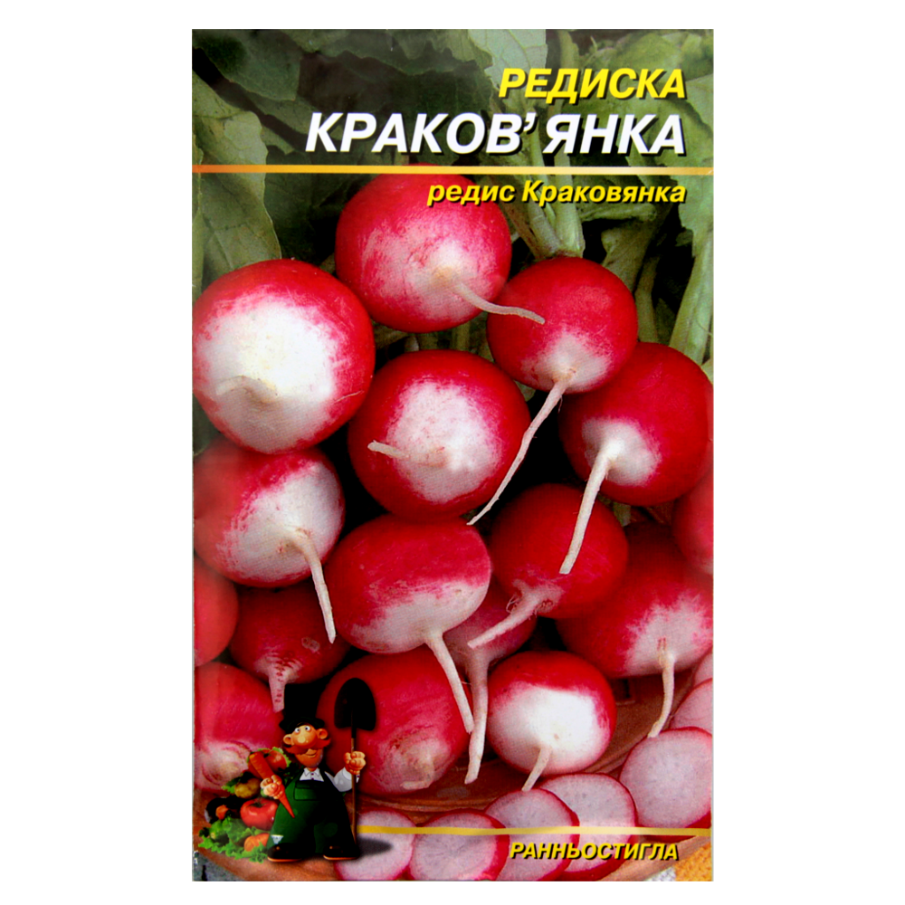 Редис Краков'янка ранньостиглий великий пакет 10 г