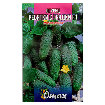 Огірок Хлоп'ята з грядки F1 самозапилювальні насіння великий пакет4 г