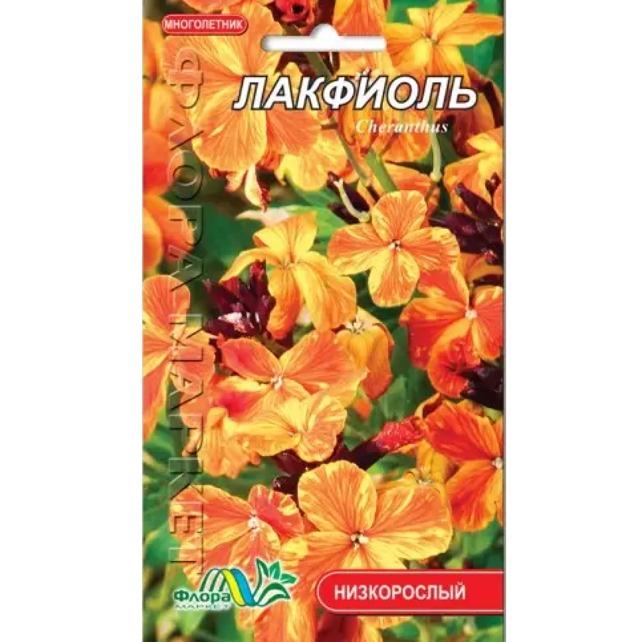Лакфіоль, багаторічна рослина, насіння квіти 0.05 г