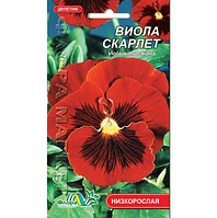 Виола Скарлет, двулетнее растение, семена цветы 0.05 г