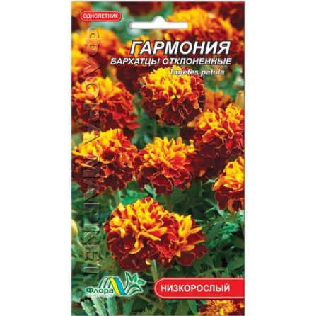 Чорнобривці Гармонія відхилені квіти однорічні, насіння 0.1 г