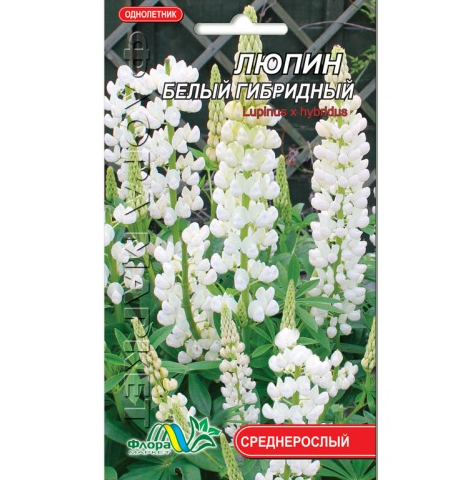 Люпин гібридний білий, квіти однорічні, насіння 0.2 г