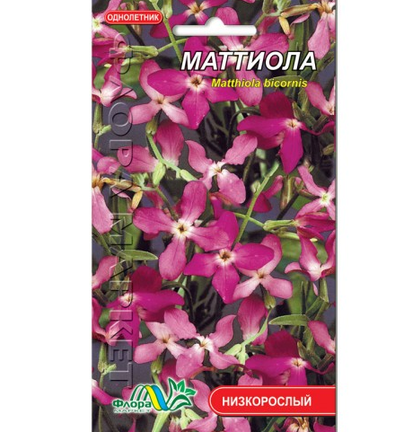 Матіола нічна фіалка квіти однорічні, насіння 1.5 г