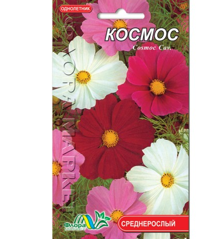 Космос квіти однорічні, насіння 1 г