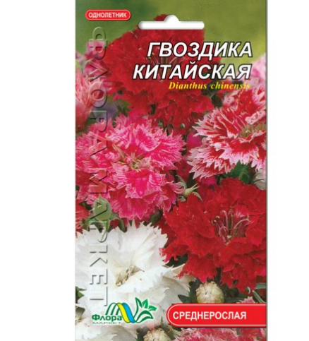 Гвоздика Китайська квіти однорічні, насіння 0.25 г