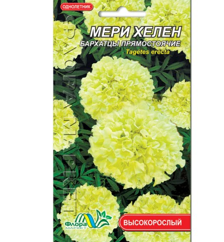 Чорнобривці Мері Хелен прямостоячі квіти однорічні, насіння 0.2 г