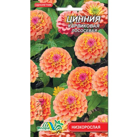 Цинія карликова лососева квіти однорічні, насіння 0.2 г