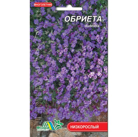 Обрієта квіти однорічні, насіння 0.02 г, фото 1