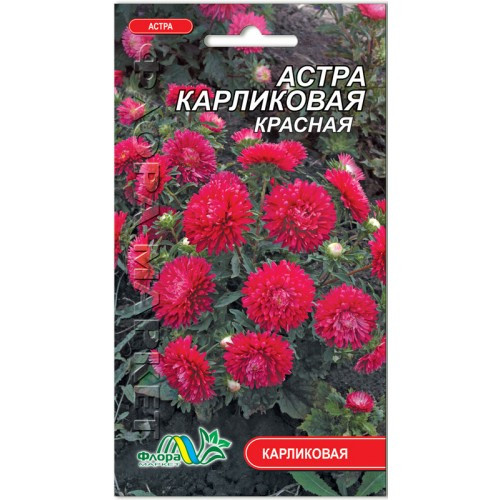 Астра Карликова червона насіння 0.3 г
