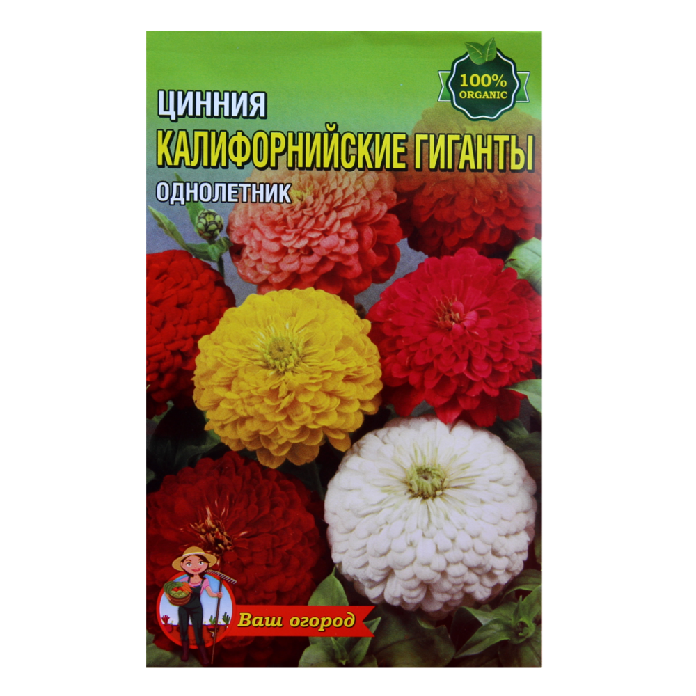 Цінія Каліфорнійські гіганти насіння квіти однорічні великий пакет 2 г