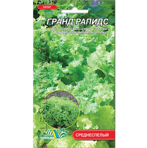 Насіння Салат Гранд Рапідс середньостиглий 0.2 г