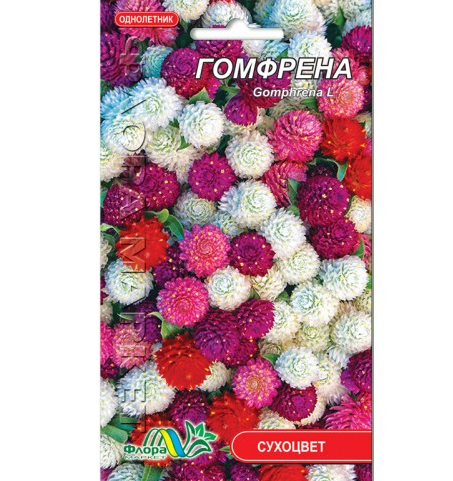 Гомфрена суміш сухоцвітів квіти однорічні, насіння 0.1 г, фото 1