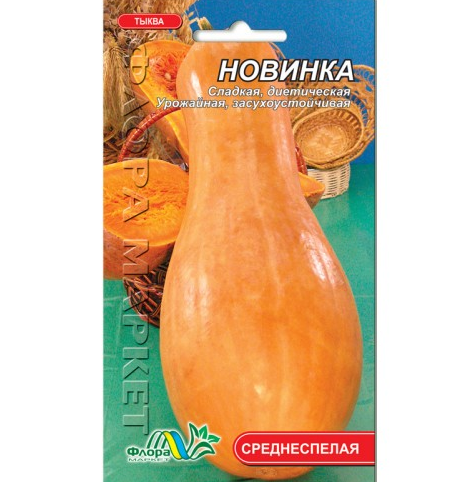 Гарбуз Новинка середньостиглий, подовжений, насіння 2 г