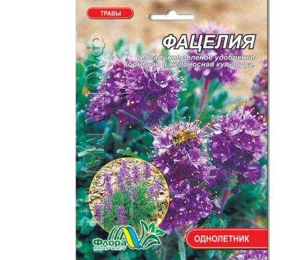 Фацелія седерат, багаторічник насіння, великий пакет 20 г