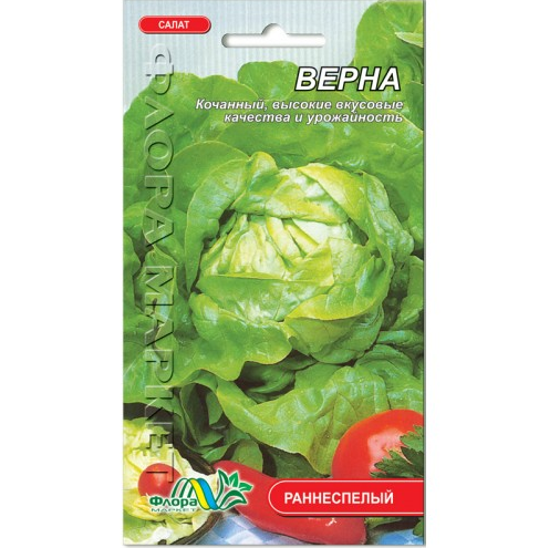 Насіння Салат Верна кочанний 1 г