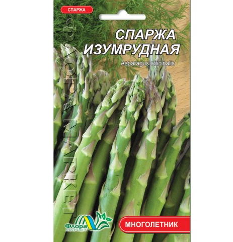 Спаржа Смарагдова з м'ясистим кореневищем, сортове насіння 0.5 г