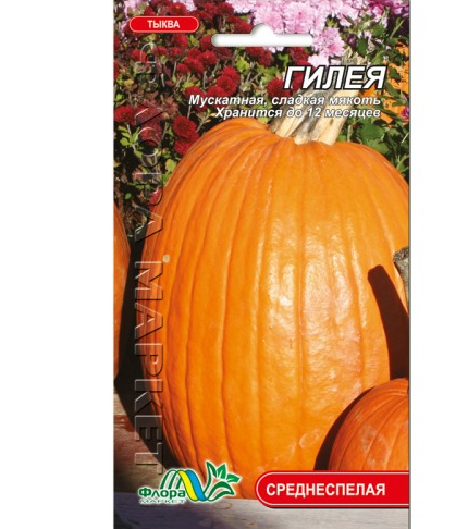 Гарбуз Гілея середньостиглий, мускатний, яскраво-помаранчевий, солодкий, 3-5 кг, насіння 2 г
