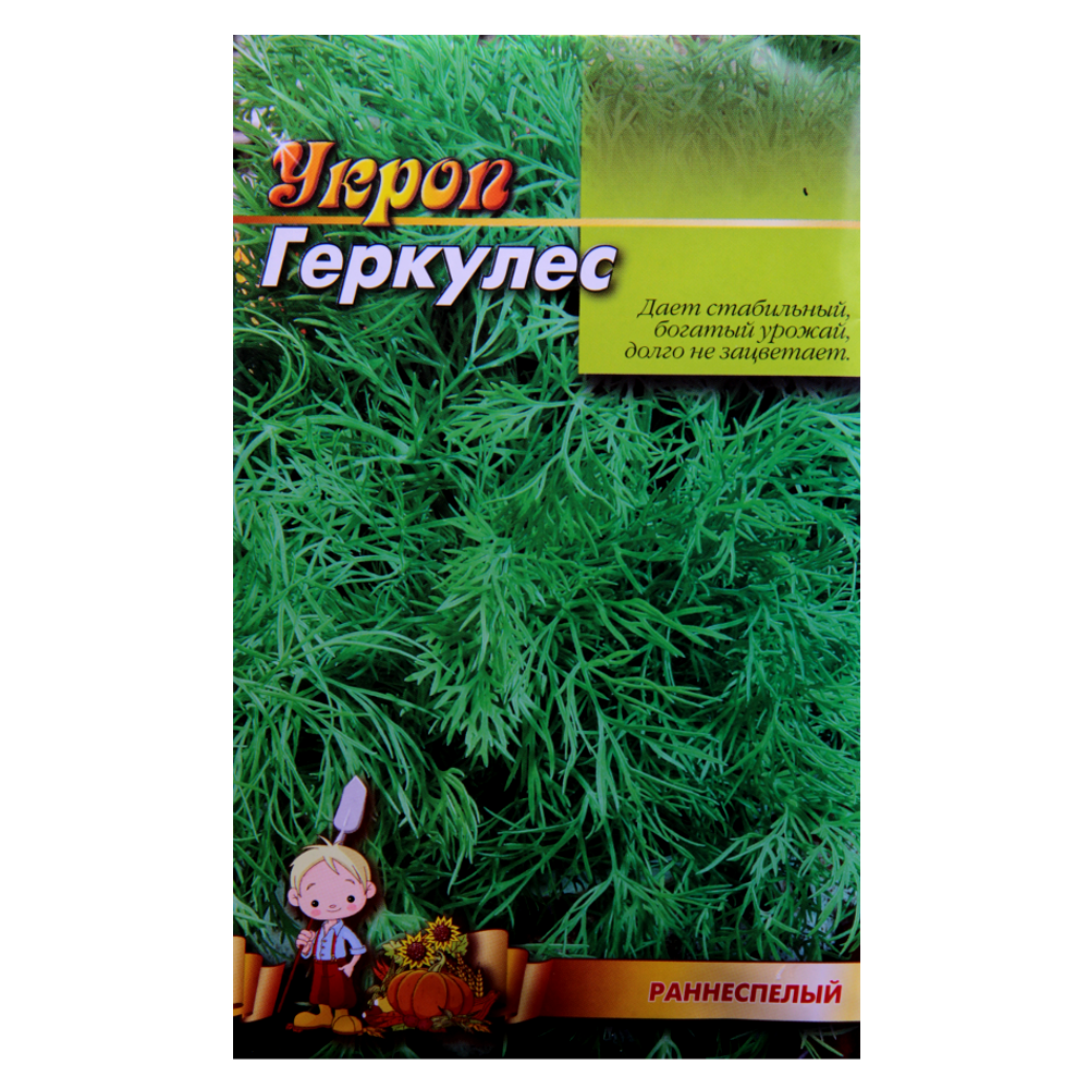 Кріп Геркулес насіння, великий пакет 20 г