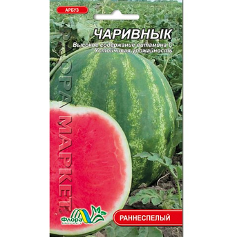 Кавун Чарівник ранній смугастий 3