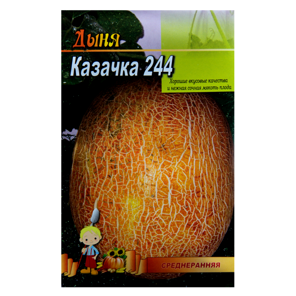 Диня Козачка великий пакет 5 г