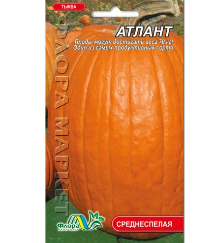 Гарбуз Атлант середньостиглий, великий, насіння 2 г
