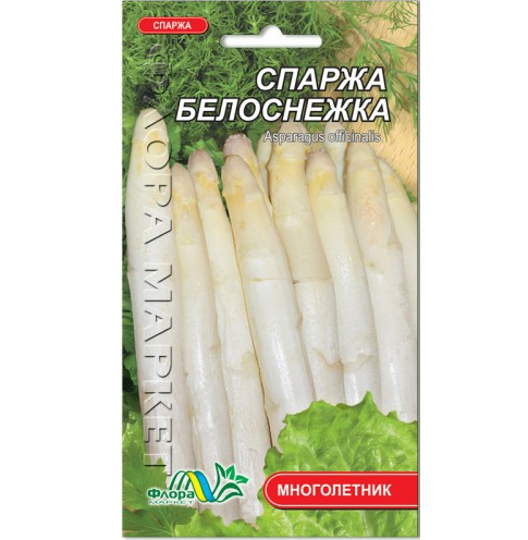 Спаржа Білосніжка з м'ясистим кореневищем, сортове насіння 0.5 г