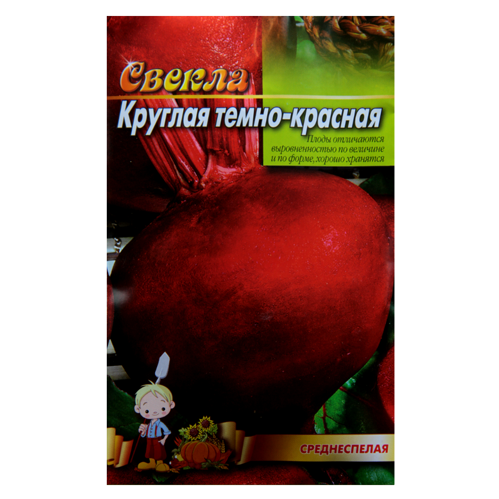 Буряк Темно-червоний великий пакет 10 г